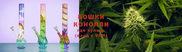 бошки Алексин