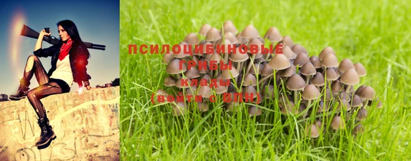 бошки Алексин